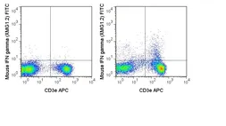 Anti-Interferon gamma antibody [XMG1.2] (FITC) used in Flow cytometry (FCM). GTX75119