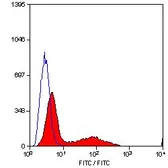 Anti-CD34 antibody [MEC14.7] (FITC) used in Flow cytometry (FCM). GTX75411
