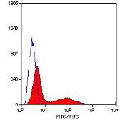 Anti-CD34 antibody [MEC14.7] (FITC) used in Flow cytometry (FACS). GTX75412