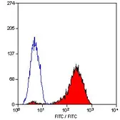 Anti-CD11a antibody [38] (Azide free) used in Flow cytometry (FCM). GTX75442