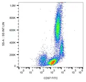 Anti-CD97 antibody [MEM-180] (FITC) used in Flow cytometry (FACS). GTX75489