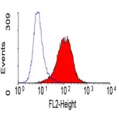Anti-Integrin alpha 3 antibody [17C6] (PE) used in Flow cytometry (FCM). GTX75612