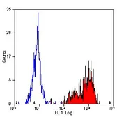 Anti-Integrin beta 1 / CD29 antibody [12G10] used in Flow cytometry (FCM). GTX75707