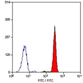 Anti-C5a R1 antibody [P12/1] (FITC) used in Flow cytometry (FACS). GTX75734