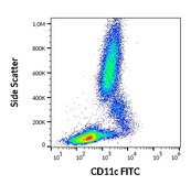 Anti-CD11c antibody [BU15] (FITC) used in Flow cytometry (FACS). GTX75794