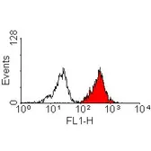 Anti-HLA-A2 antibody [BB7.2] used in Flow cytometry (FCM). GTX75803