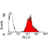 Anti-HLA-A2 antibody [BB7.2] (PE) used in Flow cytometry (FACS). GTX75805