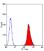 Anti-CTLA4 antibody [WKH203] (PE) used in Flow cytometry (FCM). GTX75811