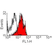 Anti-CD229 antibody [HLy9.1.25] used in Flow cytometry (FACS). GTX75853