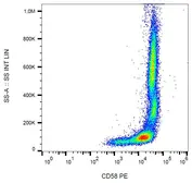 Anti-CD58 antibody [MEM-63] (PE) used in Flow cytometry (FACS). GTX75864