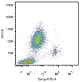 Anti-CD14 antibody [MEM-18] (FITC) used in Flow cytometry (FACS). GTX75931