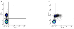 Anti-CD79b antibody [AT105-1] (PE) used in Flow cytometry (FCM). GTX75967