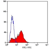 Anti-LAIR1 antibody [NKTA255] (FITC) used in Flow cytometry (FCM). GTX75996
