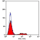Anti-CD8 antibody [YTC182.20] (FITC) used in Flow cytometry (FCM). GTX76096