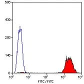 Anti-CD41 antibody [PM6/248] (FITC) used in Flow cytometry (FACS). GTX76176
