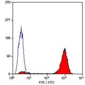 Anti-CD9 antibody [MM2/57] (Biotin) used in Flow cytometry (FCM). GTX76182