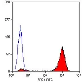 Anti-CD9 antibody [MM2/57] (Biotin) used in Flow cytometry (FACS). GTX76182