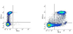 Anti-CD9 antibody [MM2/57] (PE) used in Flow cytometry (FCM). GTX76186