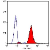 Anti-CD18 antibody [YFC118.3] (FITC) used in Flow cytometry (FCM). GTX76237