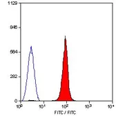 Anti-Glycophorin A antibody [YTH89.1] (FITC) used in Flow cytometry (FCM). GTX76243