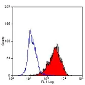 Anti-CD90 antibody [F15-42-1] (PE) used in Flow cytometry (FCM). GTX76611