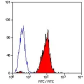 Anti-HLA-B7 antibody [BB7.1] (FITC) used in Flow cytometry (FACS). GTX76656