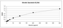 Anti-Active Ghrelin antibody used in ELISA (ELISA). GTX78202