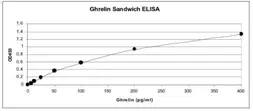 Anti-Ghrelin antibody used in ELISA (ELISA). GTX78203