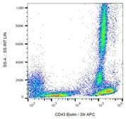 Anti-CD43 antibody [MEM-59] (Biotin) used in Flow cytometry (FCM). GTX78288