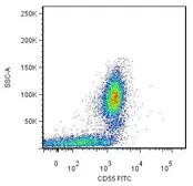 Anti-CD55 antibody [MEM-118] (FITC) used in Flow cytometry (FACS). GTX78307
