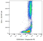 Anti-CD58 antibody [MEM-63] (Biotin) used in Flow cytometry (FACS). GTX78310