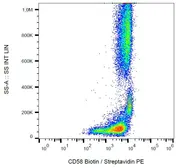 Anti-CD58 antibody [MEM-63] (Biotin) used in Flow cytometry (FCM). GTX78310