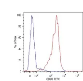 Anti-CD98 antibody [MEM-108] (Biotin) used in Flow cytometry (FACS). GTX78325