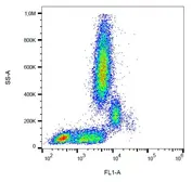 Anti-CD31 antibody [MEM-05] (FITC) used in Flow cytometry (FCM). GTX78328
