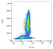 Anti-Fas antibody [LT95] (FITC) used in Flow cytometry (FCM). GTX78359