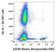 Anti-CD20 antibody [LT20] (Biotin) used in Flow cytometry (FACS). GTX78378