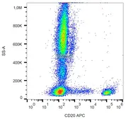 Anti-CD20 antibody [LT20] (APC) used in Flow cytometry (FACS). GTX78380