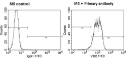 Anti-TCR V delta 2 antibody [15D] used in Flow cytometry (FCM). GTX79231