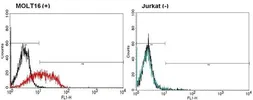 Anti-TCR V alpha 2 antibody [F1] used in Flow cytometry (FCM). GTX79234