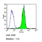 Anti-Caveolin 1 antibody [7C8] used in Flow cytometry (FCM). GTX79350