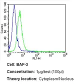 Anti-BCL3 antibody [Ham150-3.5] used in Flow cytometry (FCM). GTX79353