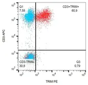 Anti-TRIM antibody [TRIM-04] (PE) used in Flow cytometry (FACS). GTX79872