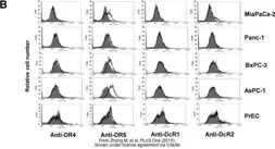 Anti-DcR2 / CD264 antibody [TRAIL-R4-01] (FITC) used in Flow cytometry (FCM). GTX79875