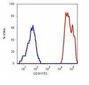 Anti-CD36 antibody [TR9] (FITC) used in Flow cytometry (FACS). GTX79880