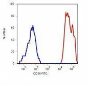 Anti-CD36 antibody [TR9] (APC) used in Flow cytometry (FCM). GTX79881