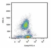 Anti-CD162 antibody [TC2] (FITC) used in Flow cytometry (FACS). GTX79885