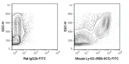 Anti-Ly6g antibody [RB6-8C5] (FITC) used in Flow cytometry (FACS). GTX79898