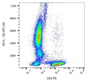 Anti-CD2 antibody [MEM-65] (PE) used in Flow cytometry (FACS). GTX79929