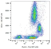 Anti-CD31 antibody [MEM-05] (PE) used in Flow cytometry (FCM). GTX80032