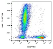 Anti-CD27 antibody [LT27] (APC) used in Flow cytometry (FACS). GTX80055